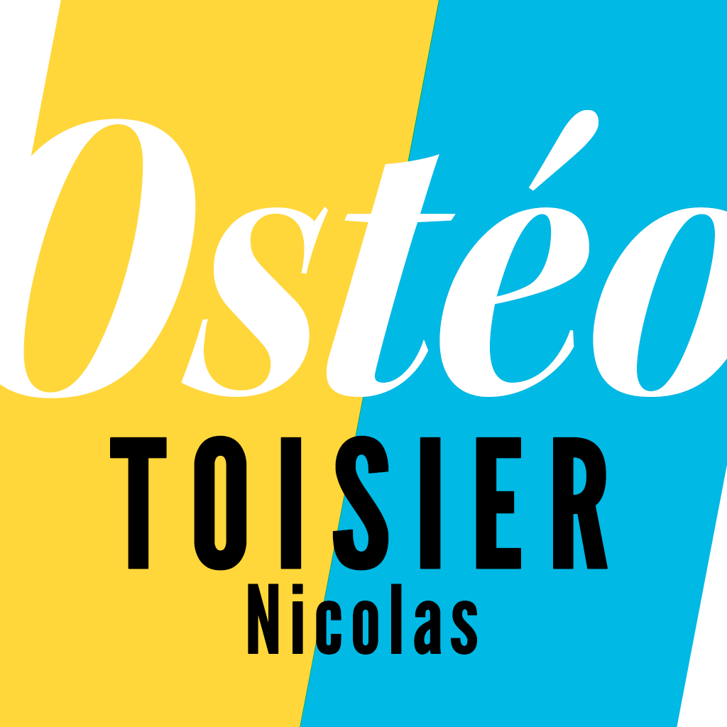 Logo Nicolas Toisier Ostéopathe